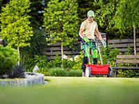 Wir kümmern uns um Ihren Garten